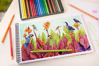 Polychromos 色鉛筆24色