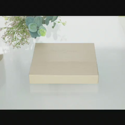 【NEW】PITTアーティストペン スタジオボックス 12色セット
