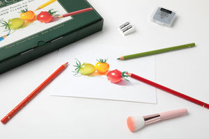Art Box リアル色鉛筆画　(三上詩絵監修)