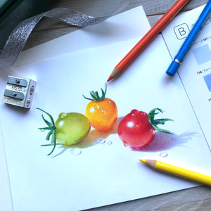 Art Box リアル色鉛筆画　(三上詩絵監修)